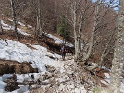 66 Entrando nel bosco la neve diminuisce